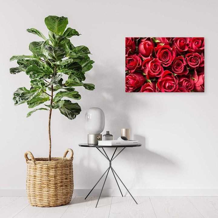 Feeby Bild auf Leinwand Blumen Rote Rosen XXL 120x80 cm 1Teilig Wohnzimmer Schlafzimmer Bilder Wandb