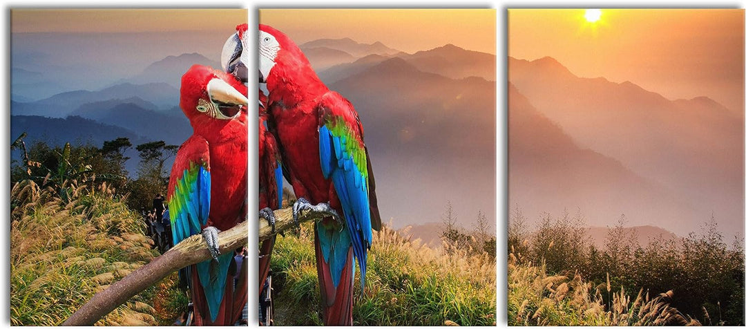 Papageien Pärchen als XXL Leinwandbild in Übergrösse 180x80cm Gesamtmass 3 teilig/Wandbild/Kunstdruc