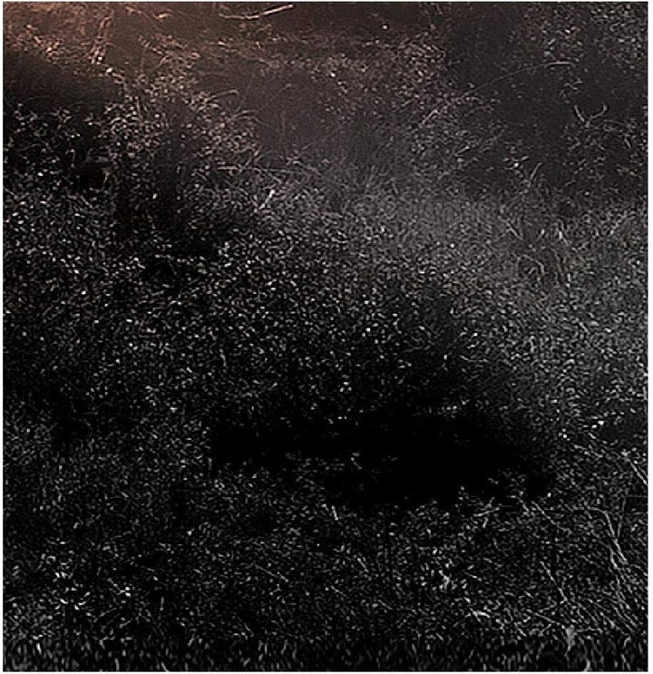 Runa Art Wandbilder Afrika Elefant Bild XXL Wohnzimmer Schlafzimmer Grau Orange Panorama 120 x 80 cm