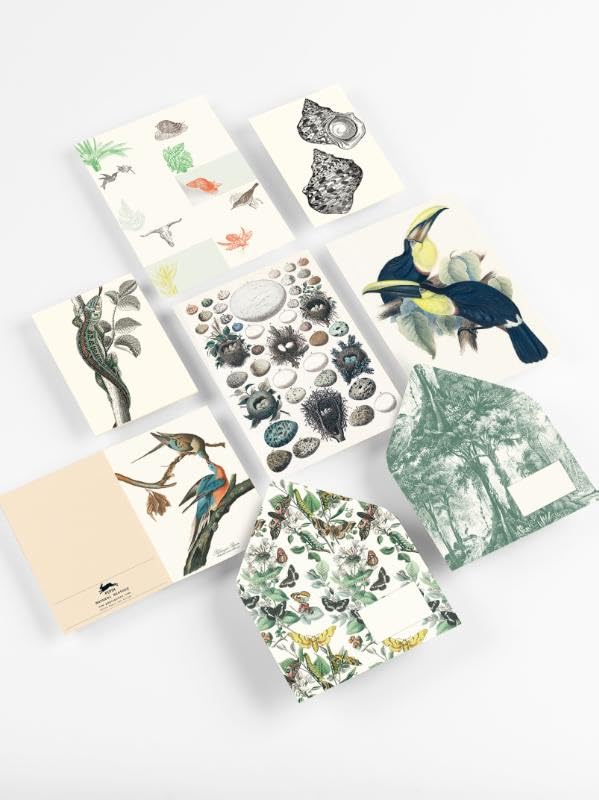 Natural History: Korrespondenz Set / Briefpapier Set / Set de Correspondance (Correspondence Set), G