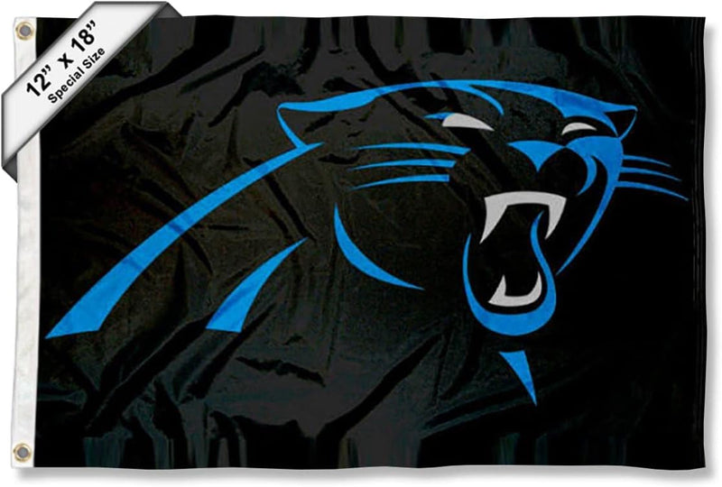 Carolina Panthers Boot und Golf Cart Flagge