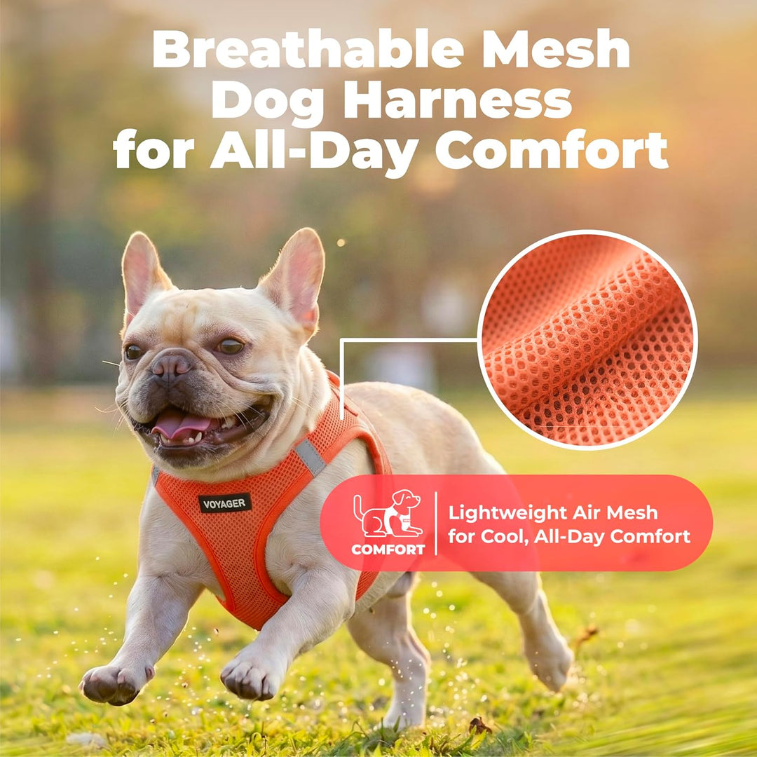 Voyager Step-In Air Hundegeschirr by Best Pet Supplies - All Weather Mesh Step in Vest Harness für k