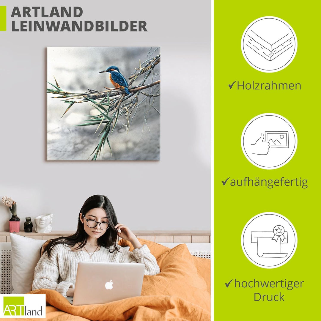 ARTland Leinwandbilder Wandbild Bild auf Leinwand 50x50 cm Wanddeko Eisvogel Tiere Vögel Natur Lands