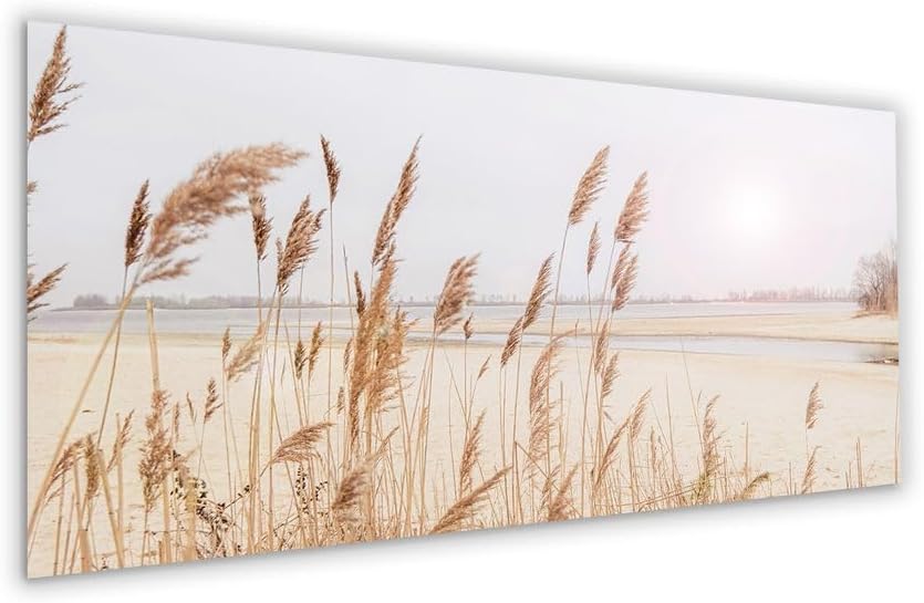artissimo, Glasbild XXL, 125x50 cm Querformat, AG5392A, Strand und Meer: Gräser, Bild aus Glas gross
