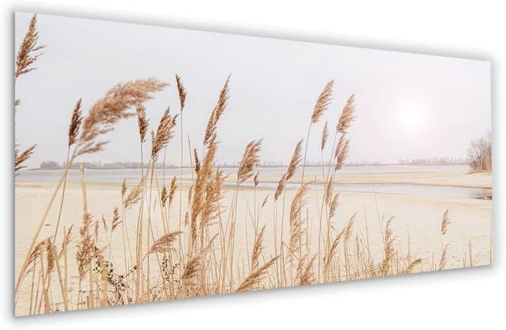 artissimo, Glasbild XXL, 125x50 cm Querformat, AG5392A, Strand und Meer: Gräser, Bild aus Glas gross