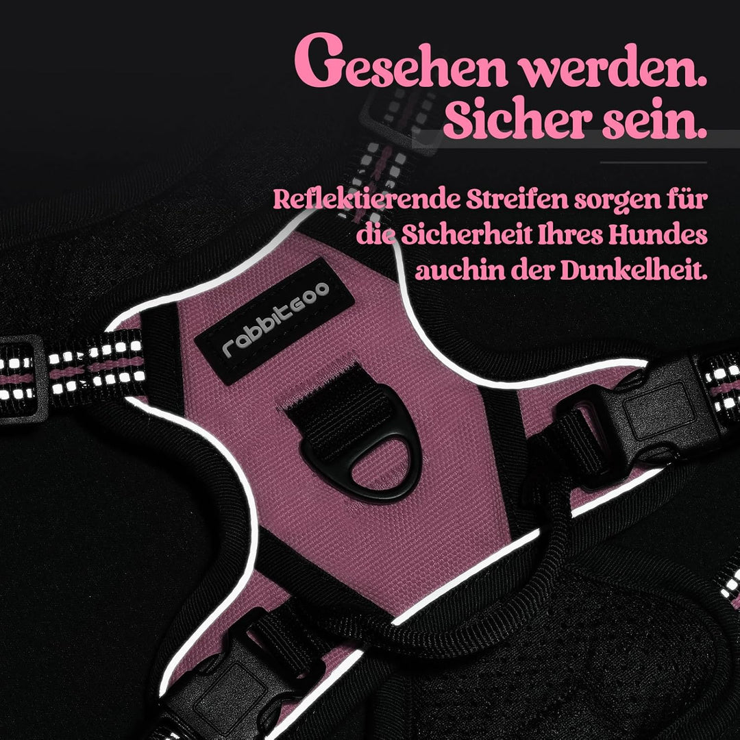 rabbitgoo Hundegeschirr Kleine Hunde Anti Zug Geschirr Hund mit Kontrolle No Pull Verstellbar Hundeg