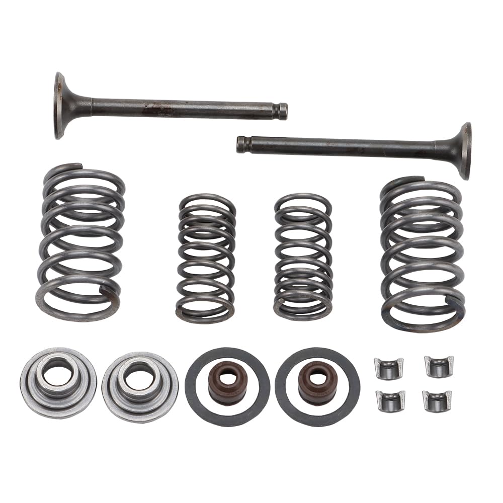 WOOSTAR Zylinderkopf 64mm Ventilbaugruppe Ersatz für GY6 50ccm 139QMB Motor Roketa Taotao Sunl Chine
