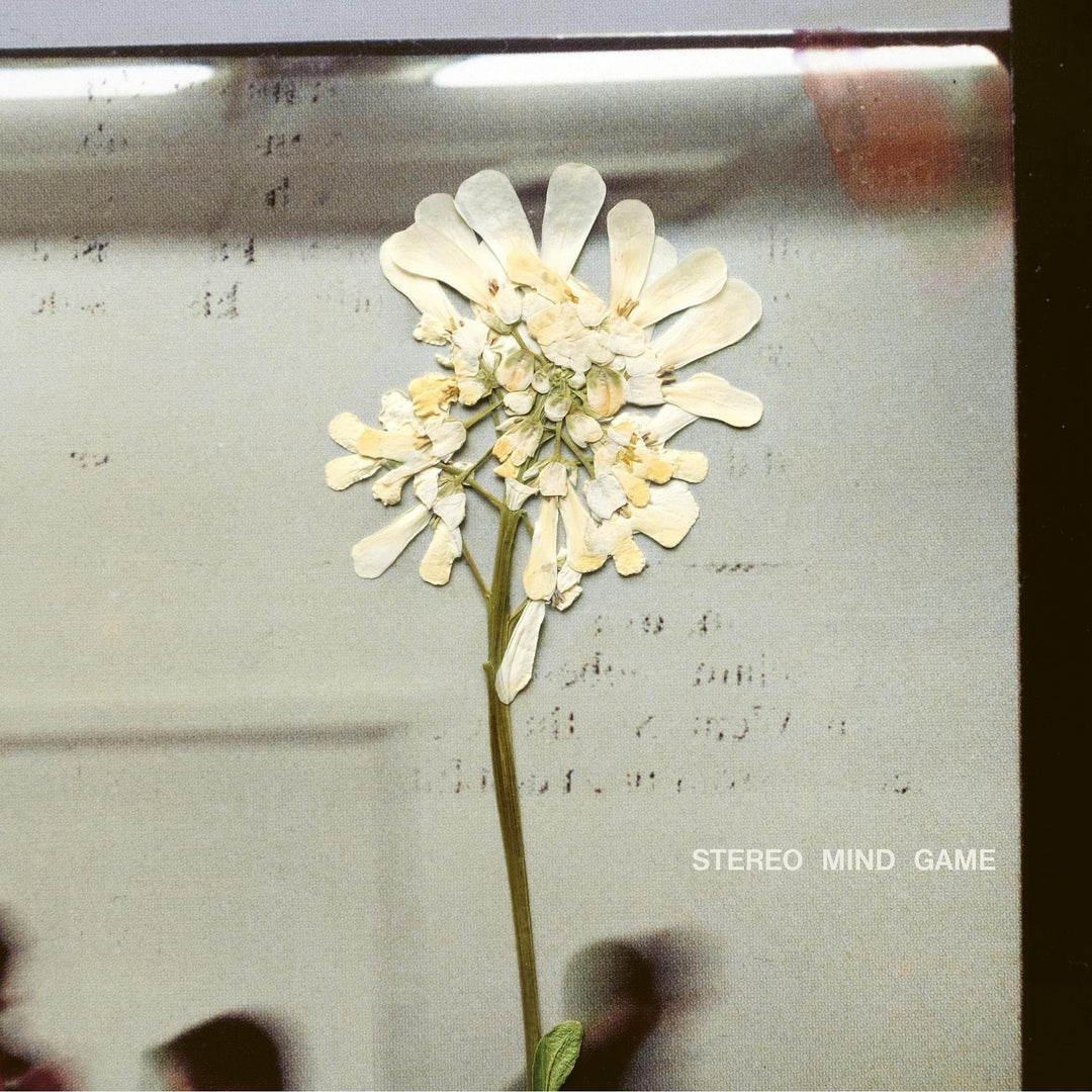 Stereo Mind Game, Vinyl