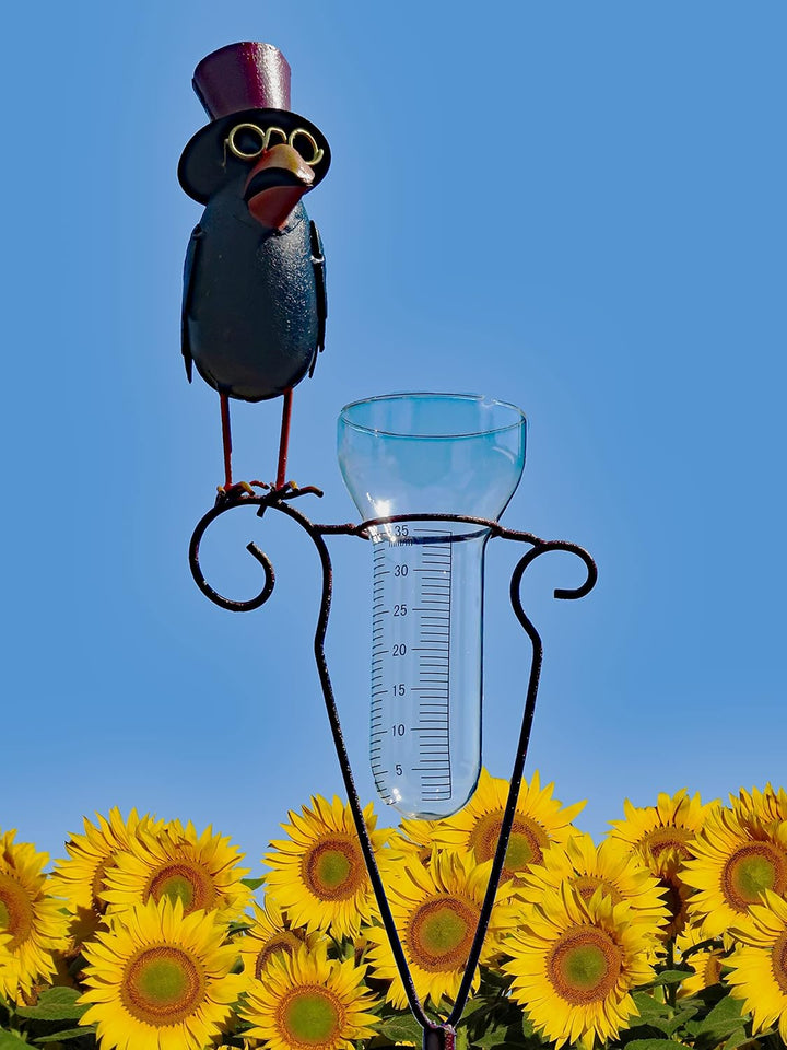 Pommerntraum ® | Regenmesser Pluviometer Niederschlagsmesser Herr Prof. Dr. Rabe verrückter Vogel mi