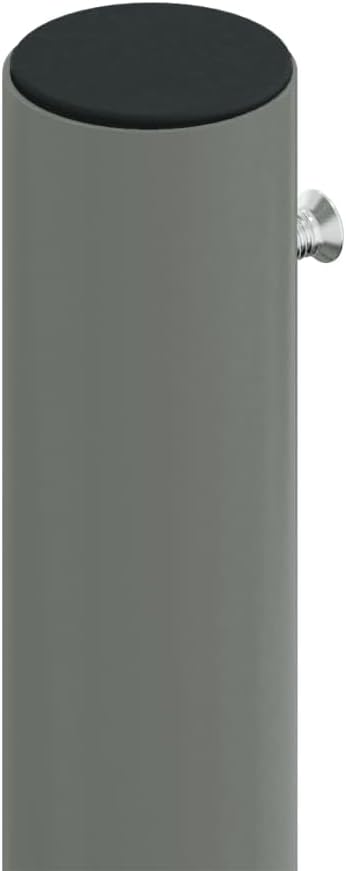 vidaXL Seitenmarkise Ausziehbar Anthrazit 200x1000 cm