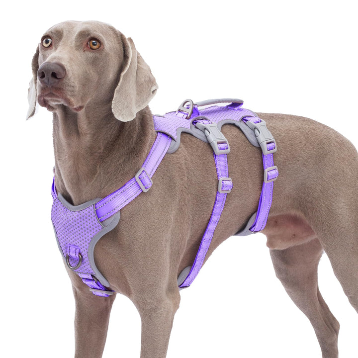 Huntboo Sicherheitsgeschirr Hund Ausbruchsicher, Panikgeschirr für Hunde, Reflektierendes Geschirr m
