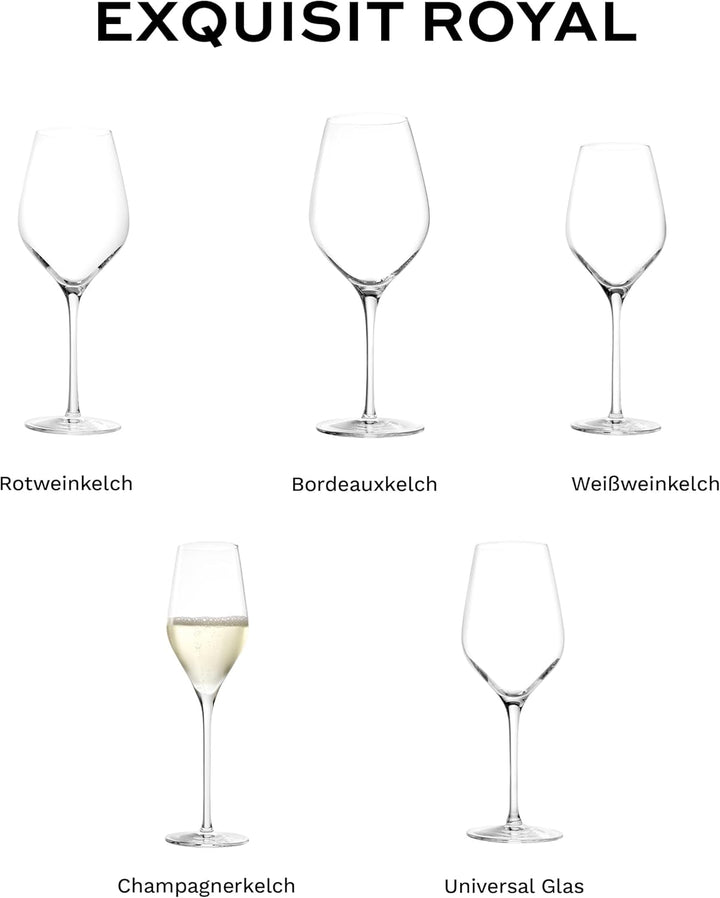 Stölzle Lausitz Exquisit Royal Champagnerkelche 265ml I Edle Champagnergläser 6er Set I Schaumweingl