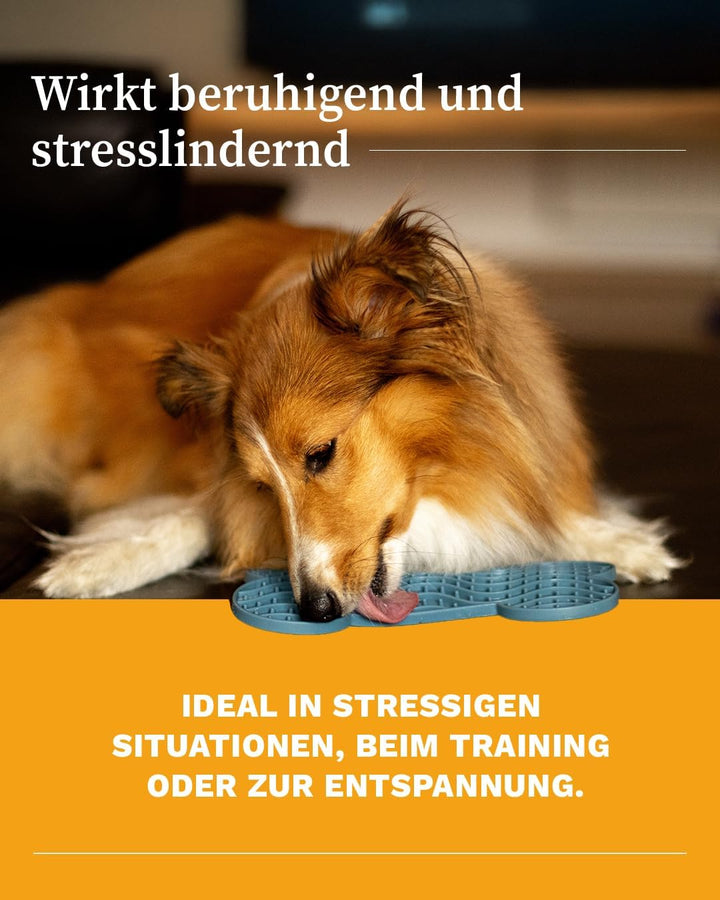 Martin Rütter – Leckmatte Hund in Knochenform mit Saugnäpfen Grau L – Hundespielzeug aus Silikon BPA