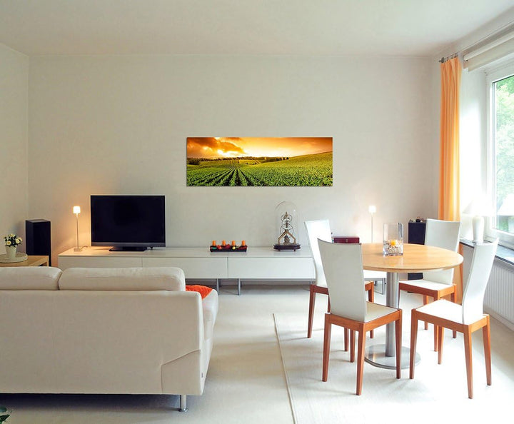 Paul Sinus Art Panoramabild auf Leinwand und Keilrahmen 120x40cm Weinberg Sonnenuntergang Landschaft