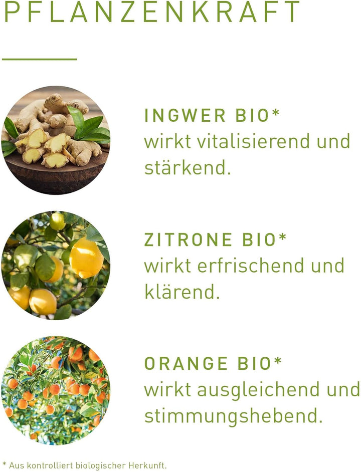 PRIMAVERA Wärmekick Aroma Sauna bio 100 ml - Saunaöl, Aromatherapie - warmer-frischer Duft - ausglei