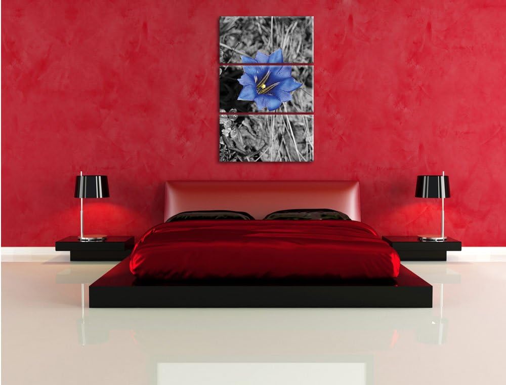 Pixxprint Süsse Blume als Leinwandbild/Grösse: 3 Teilig (120x80) / Wandbild/Kunstdruck/fertig bespan