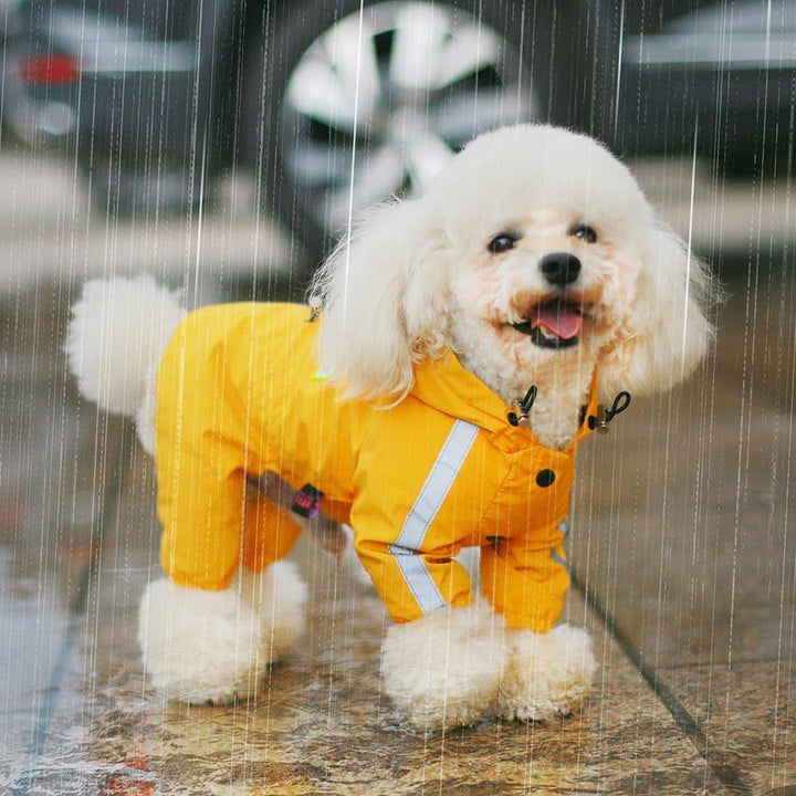 LOS ANDES Regenjacke Hund Wasserdicht für Klein Hunde, Reflektierend, Gelb, S, Polyester, Wasserfest