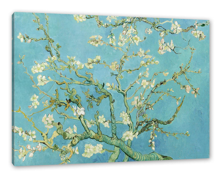 Generisch Vincent Van Gogh - Mandelbaumzweige als Leinwandbild / Grösse: 120x80 cm / Wandbild / Kuns