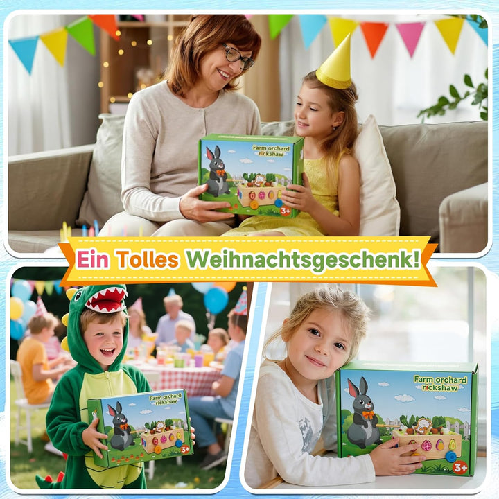RunHero Montessori Holz Sortierspie Karotten Steckspiel Holzspielzeug ab 1 Jahr Holztiere Motorikspi