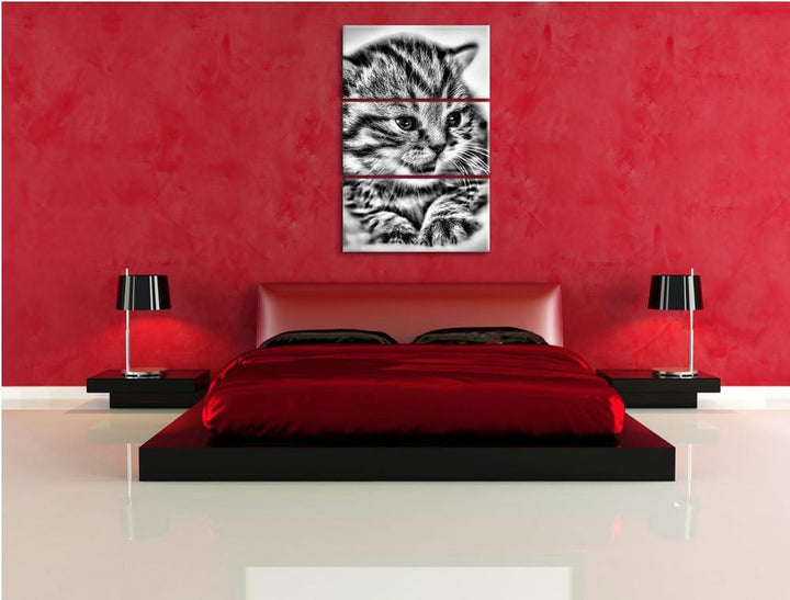 Pixxprint kleines Kätzchen auf weisser Decke als Leinwandbild/Grösse: 3 Teilig (120x80) / Wandbild/K