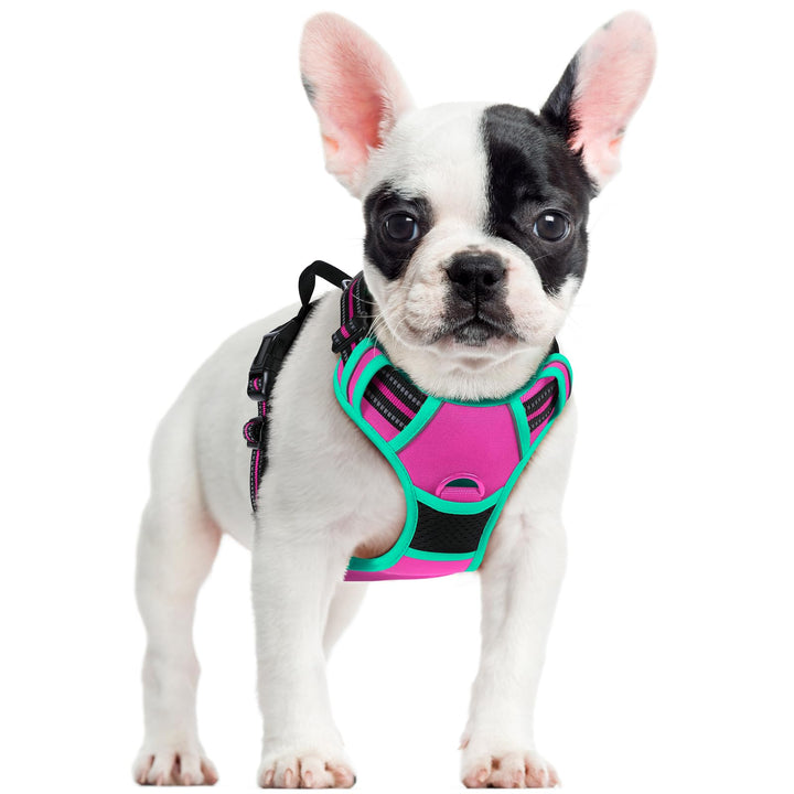 rabbitgoo Hundegeschirr Mittelgrosse Hunde, Anti Zug Geschirr mit Kontrolle, No Pull Verstellbar Hun