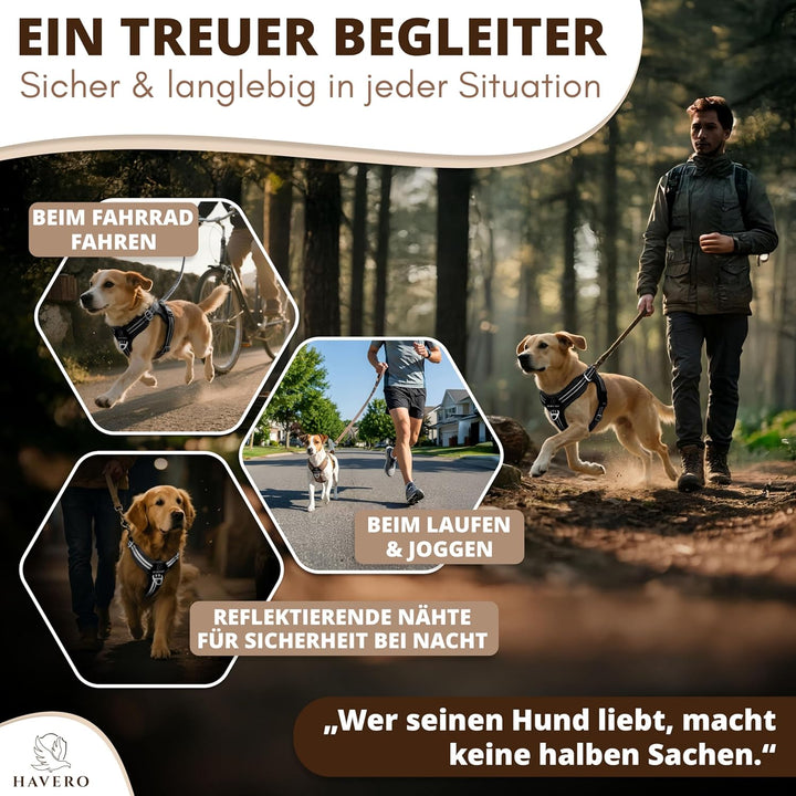 Hundegeschirr Easy-On-Clip – [Kein Überkopfziehen] | Anti-Zug Y-Geschirr Gepolstert Reflektierend At