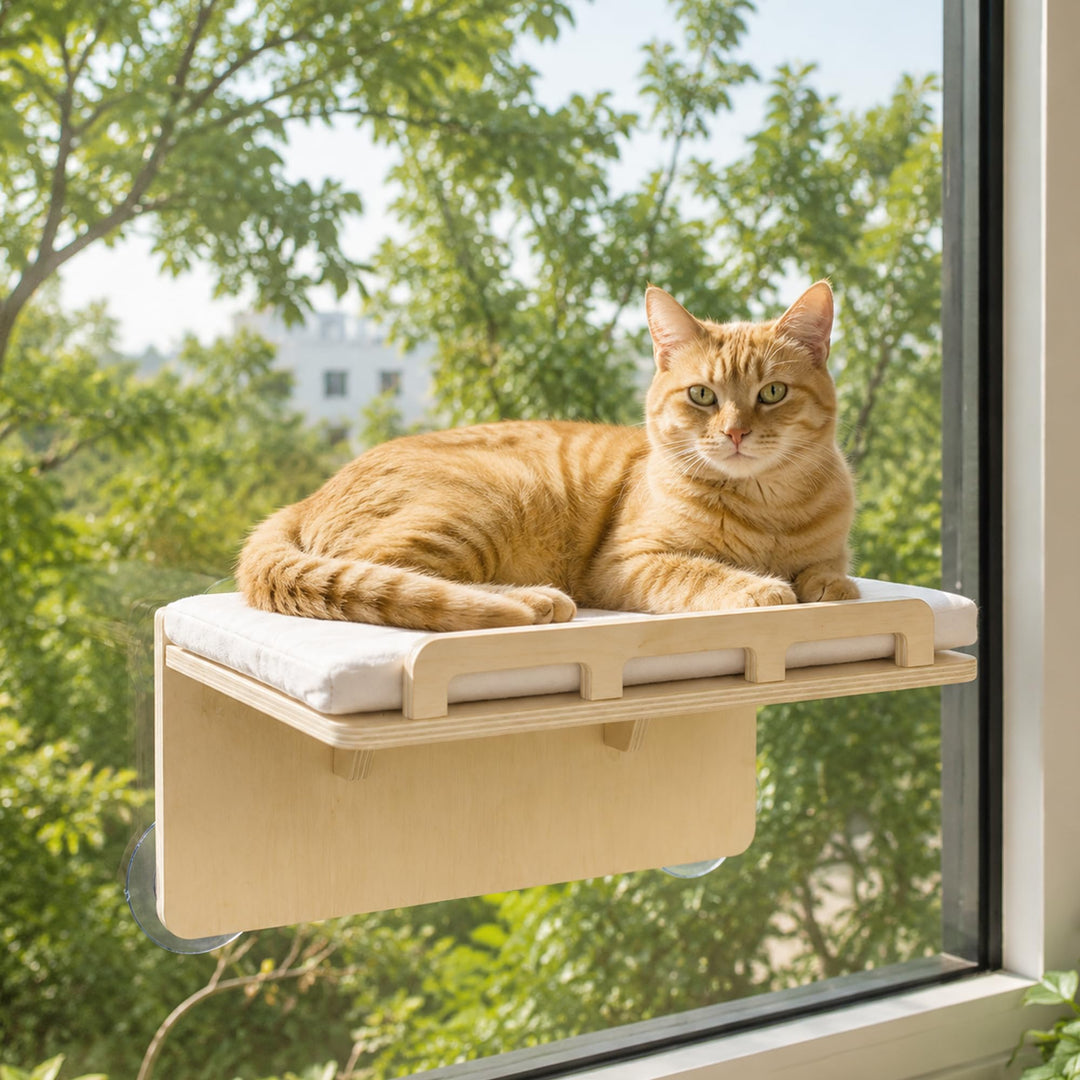 PETKARAY Katzenfensterliege mit Geländer, Holz-Fensterbett mit Saugnäpfen, Waschbares Kissen, Katzen