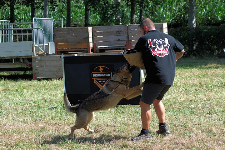 Dingo Gear Sprunghürde für das Hundetraining Höhenverstellung auf 1 Meter, Breite 1 Meter, Hindernis