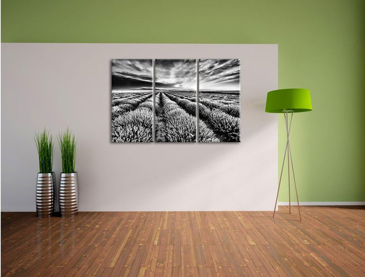 Pixxprint Traumhafte Lavendel Provence als Leinwandbild/Grösse: 3 Teilig (120x80) cm/Wandbild/Kunstd