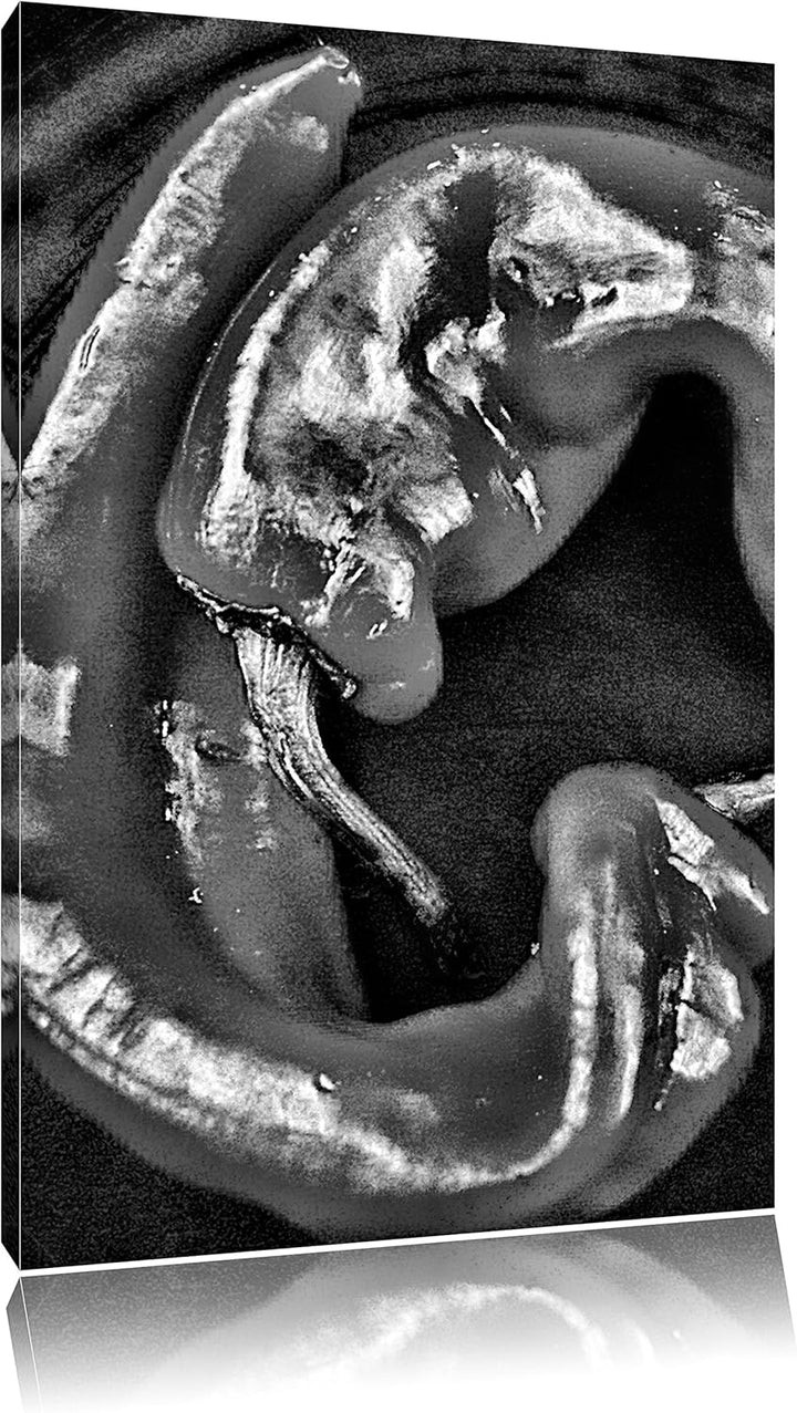 Pixxprint scharfe Chilischoten / 100x70cm Leinwandbild bespannt auf Holzrahmen/Wandbild Kunstdruck D