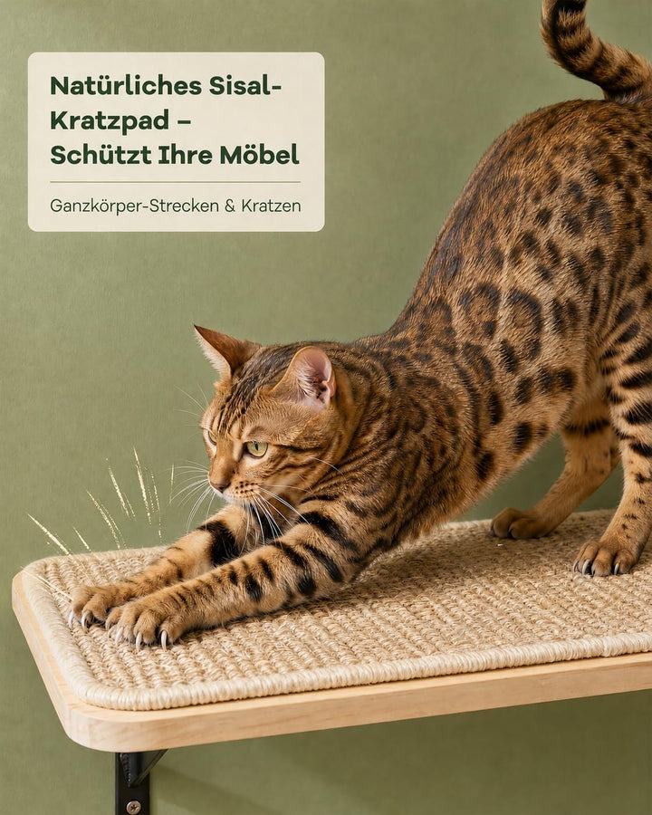 2PC Katzen Kletterwand, Katzenwandmöbel mit Kratzmatte, Wandmontiertes Massivholz Schlafplattform fü