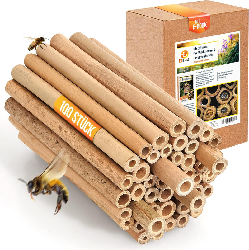BEESI Bambusröhrchen für Insektenhotel I 14 cm Länge I Bambus für Bienenhotel I Füllmaterial Wildbie