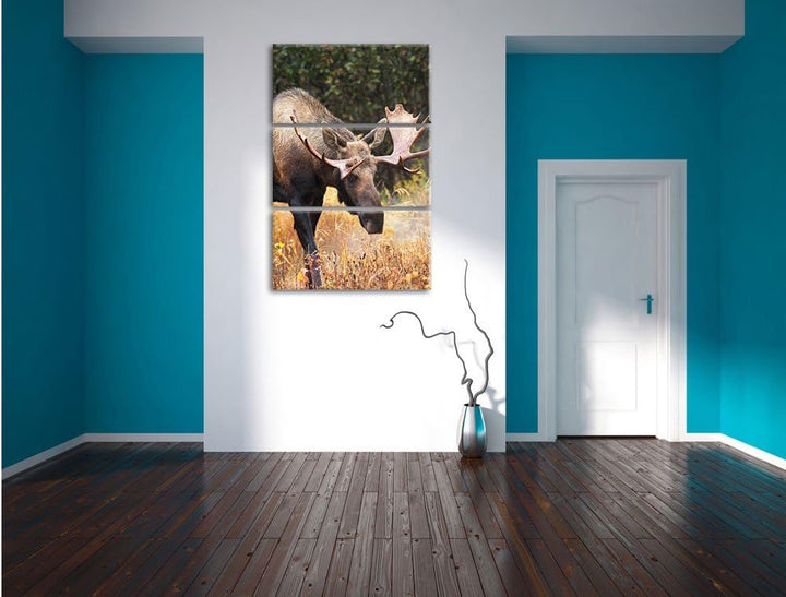 Pixxprint Grosser Elch als Leinwandbild | Grösse: 3 Teilig (120x80) | Wandbild| Kunstdruck | fertig
