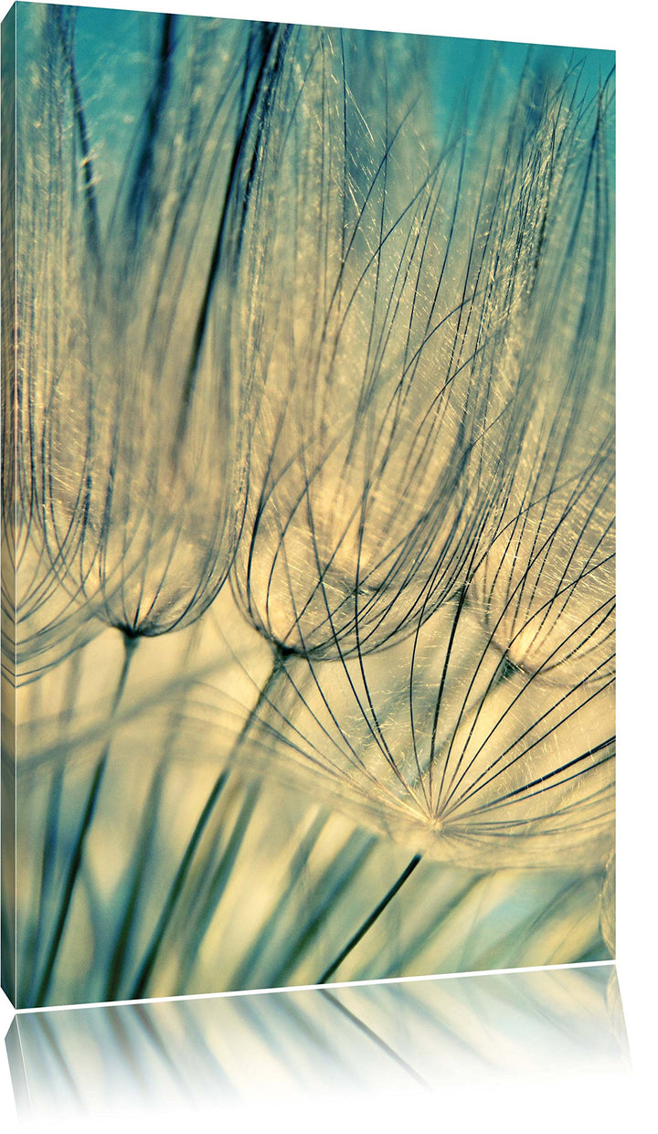 Pixxprint Pusteblumen, Format: 100x70 auf Leinwand, XXL riesige Bilder fertig gerahmt mit Keilrahmen