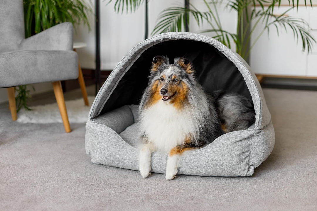 Bjird Hundebett & Hundehütte in einem - Hundehaus mit Dach für kleine und mittelgrosse Hunde - Hunde