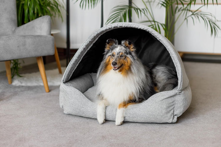 Bjird Hundebett & Hundehütte in einem - Hundehaus mit Dach für kleine und mittelgrosse Hunde - Hunde