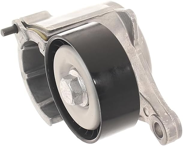 SKF VKM 33019 Spannrollensatz für Nebentrieb