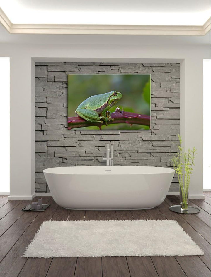kleiner Frosch auf Dornenast Leinwand, XXL riesige Bilder fertig gerahmt mit Keilrahmen, Kunstdruck