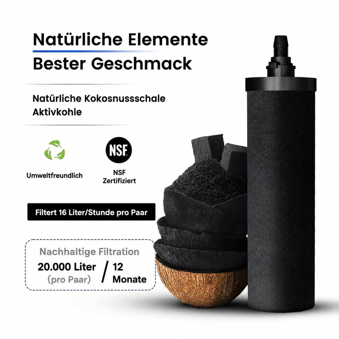 PHOENIX GRAVITY 8 Liter Edelstahl Wasserfilter und Reiniger mit 2 POSTreat Flouride Reduzierelemente