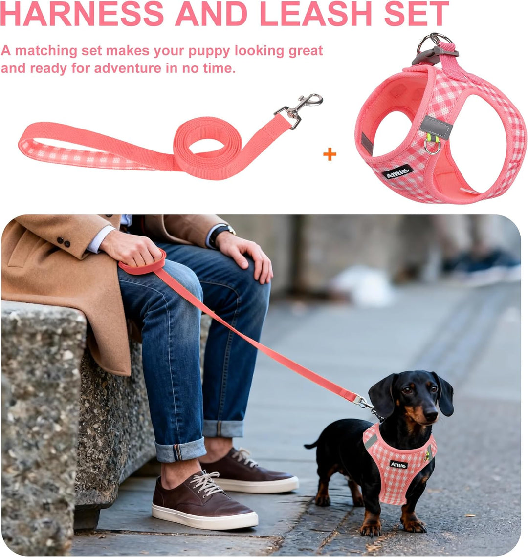 AIITLE Easy Walk Hundeweste, Geschirr und Leine, Set, Haustierbedarf, kein Ziehen, atmungsaktives Ne