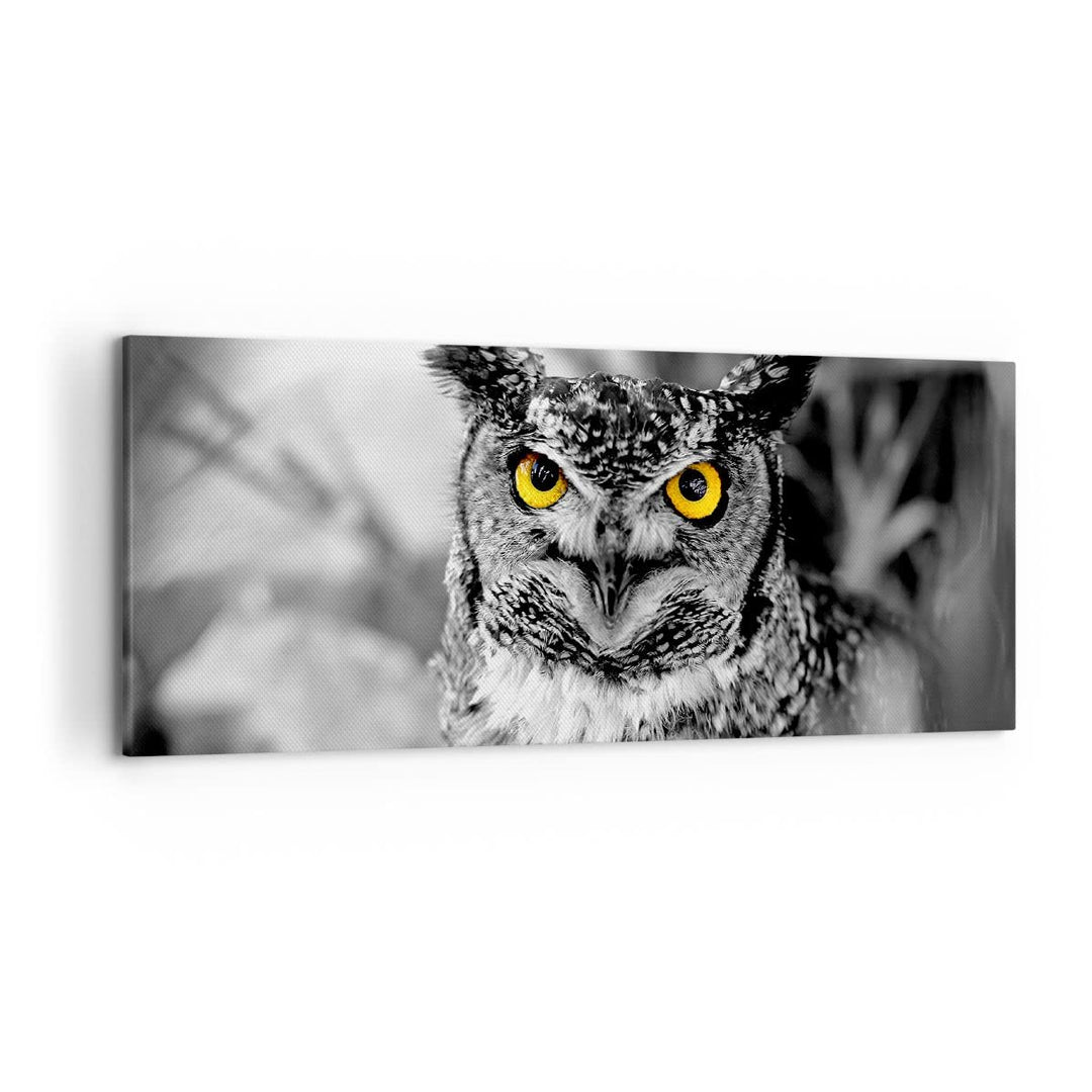 Wandbilder Dekoration Wohnzimmer Eule Vogel Natur Panorama Bilder auf Leinwand 120x50cm Leinwandbild