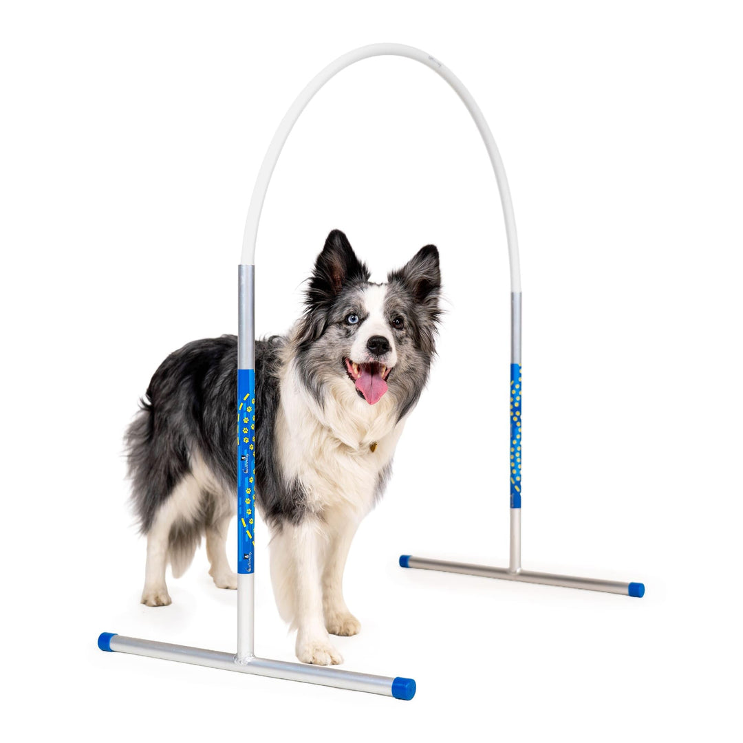 Hoopers Agility Hoops - NADAC Hoopers Agility Hoops ohne Mittelstrebe (Grosspackung) Weiss, Weiss