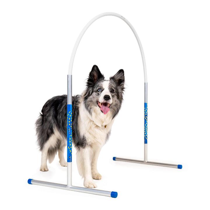 Hoopers Agility Hoops - NADAC Hoopers Agility Hoops ohne Mittelstrebe (Grosspackung) Weiss, Weiss