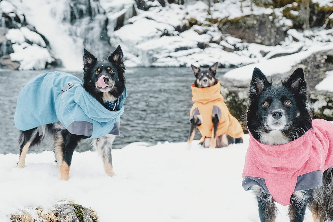 Hurtta Expedition Parka Wintermantel für kleine Hunde, Hundemantel Sanddorn, orange 30XL Sanddorn 30