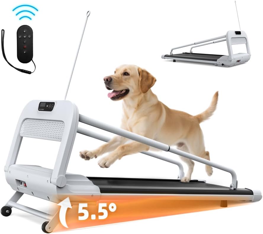 Smartes Ruhiges Hundelaufband Verstellbare Geschwindigkeit Sicher Für Kleine Mittelgrosse Hunde Haus