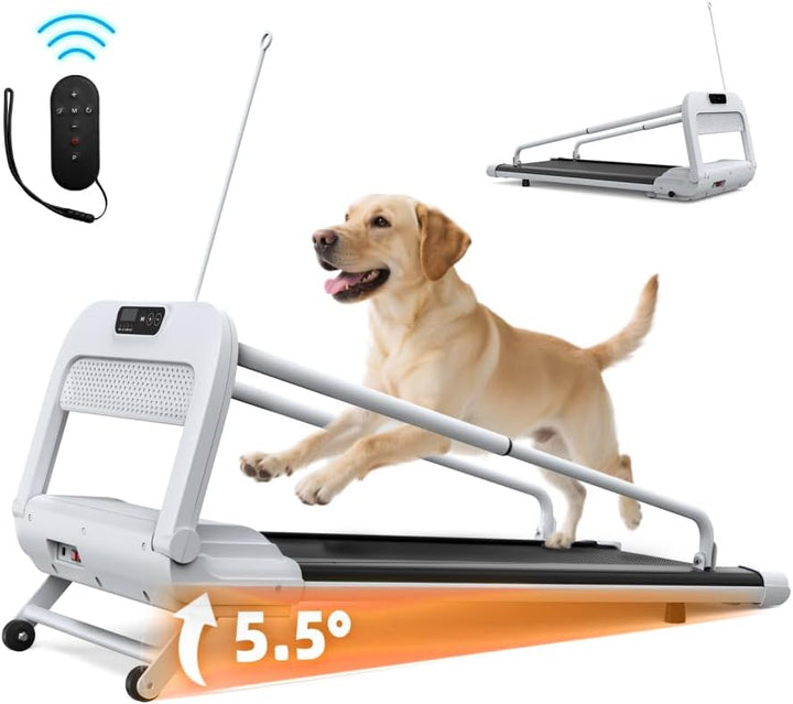 Smartes Ruhiges Hundelaufband Verstellbare Geschwindigkeit Sicher Für Kleine Mittelgrosse Hunde Haus
