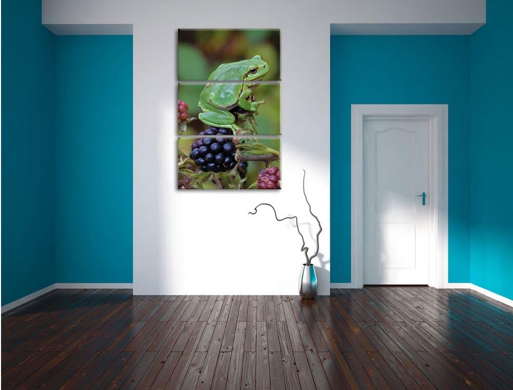 Pixxprint Kleiner Frosch auf Brombeerstrauch 3-Teiler Leinwandbild 120x80 Bild auf Leinwand