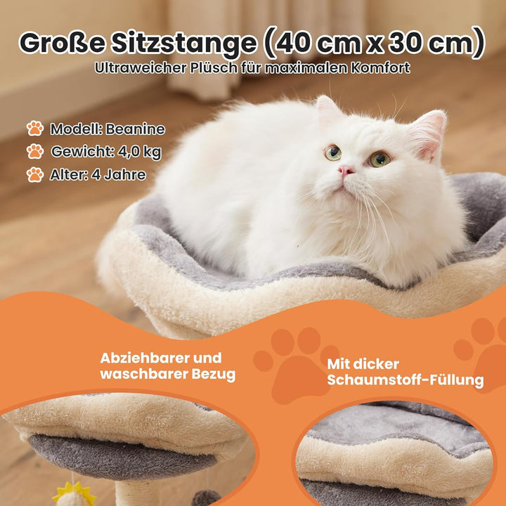 Gardner Pet Kleiner Katzenbaum, Kratzbaum klein mit 34 x 30 cm gepolsterter Plattform, 51 cm hoch Ka