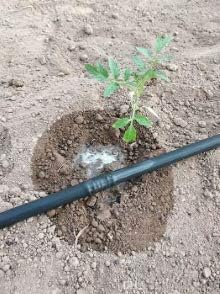 Pcriegos 02033-100 Bewässerungsschlauch 16 mm mit integrierten Tropfen, 33 cm, Schwarz, 100 m