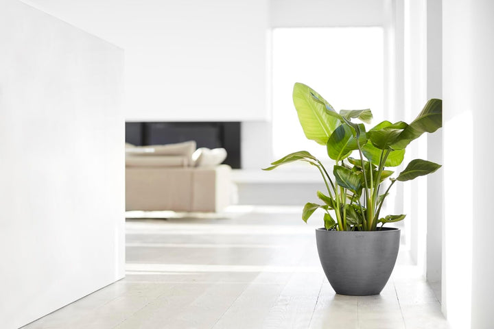 ECOPOTS Blumentopf Antwerp Grau - Durchmesser Ø 40 cm rund gross - Pflanzentopf aus Recycling Kunsts